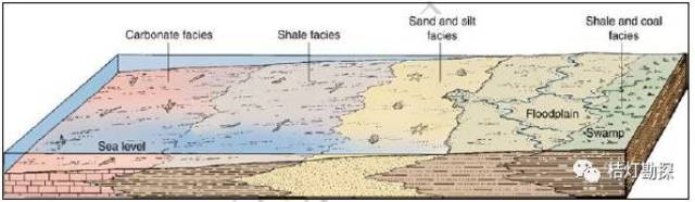 (marine facies) 01 海相组地形和水深关系示意图 06 开放大陆架沉积