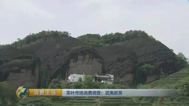 央视带你走进武夷山"天心岩茶村"