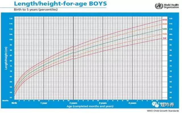 生长曲线,一图掌握宝宝的成长密码