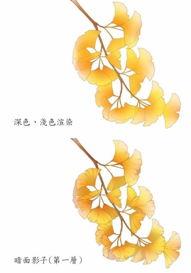 用python画银杏叶,python画雪花的代码 【绘画教程】如何画出金黄的银杏叶子?(附应用实例)