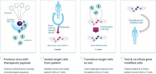 中枢神经系统疾病领域近期研究进展（第40期）