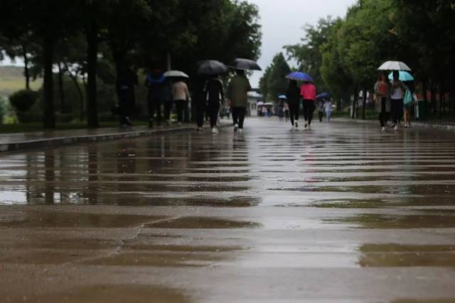 里的清香, 爱雨滴拍打图书馆玻璃的声音, 爱湿漉漉的空气和朦胧的天