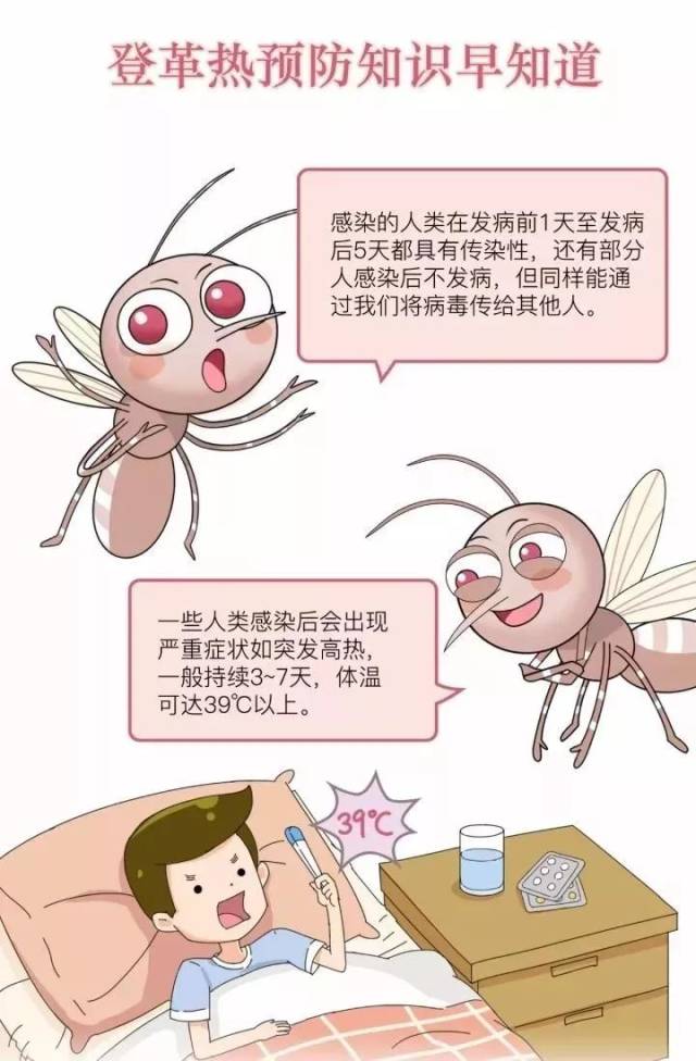 【图解】漫画图解登革热,再也不怕蚊子叮咬啦