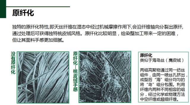 纵截面:纤维粗细不均匀,扁平带状,有天然转曲 表层:表面有果胶,由于是