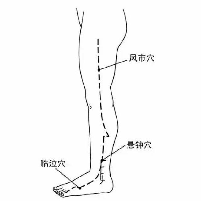 阳陵泉穴 在小腿外侧,当腓骨头前下方凹陷处,此穴是胆经的重要穴位.