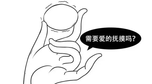 蛋疼有多疼?有没有比它更疼的疼!