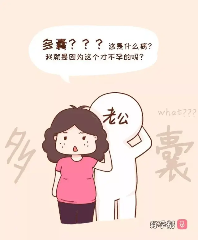 《怀孕那点儿事》之不孕与多囊