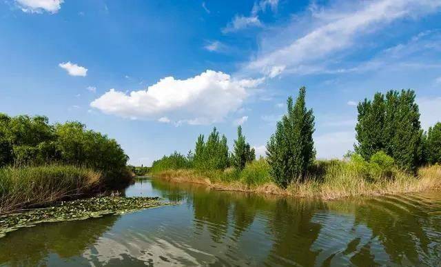 【园冶杯专业奖】济西国家湿地公园规划及景观设计