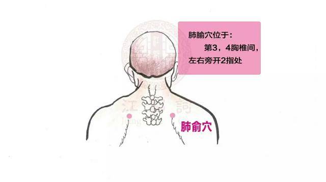 ③脾胃不适,艾灸部位 秋季很多朋友会出现脾胃不适.