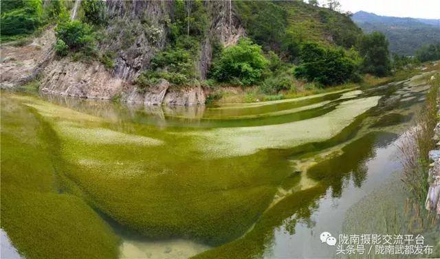 田茂琳:再探玄湾村