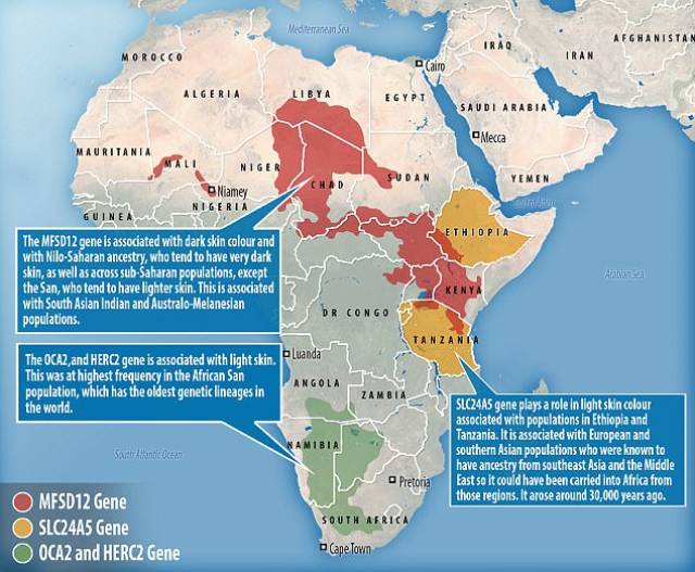 决定肤色的基因被发现,通过肤色判断人种已过时