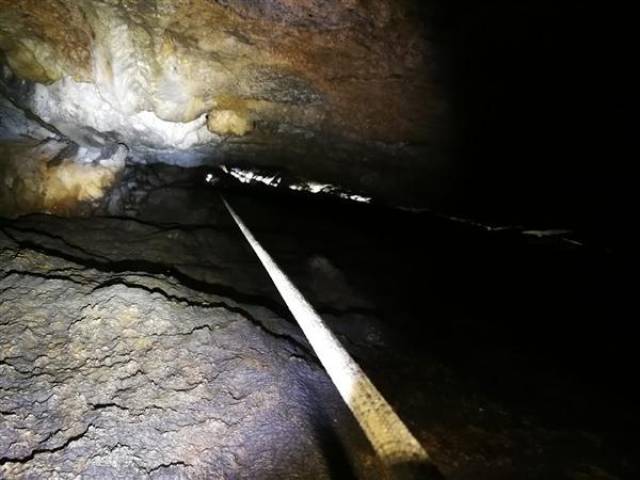 响水村洞穴探险,洞底发现已经消失几十年的岩羊尸骨