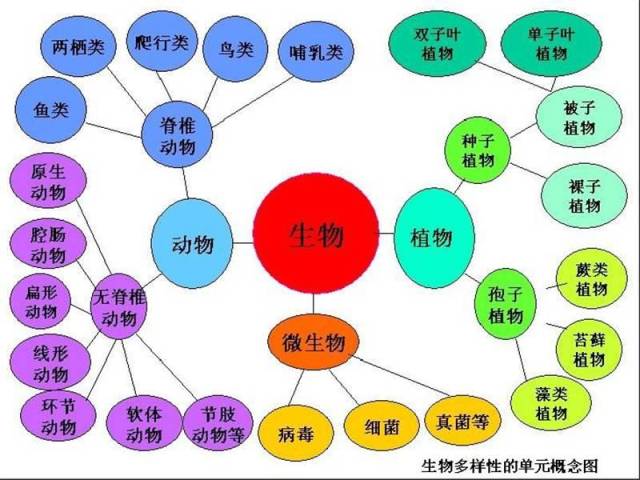 其目的是为了让学生了解我们所居住的地球及在地球上生存的生物的奥秘