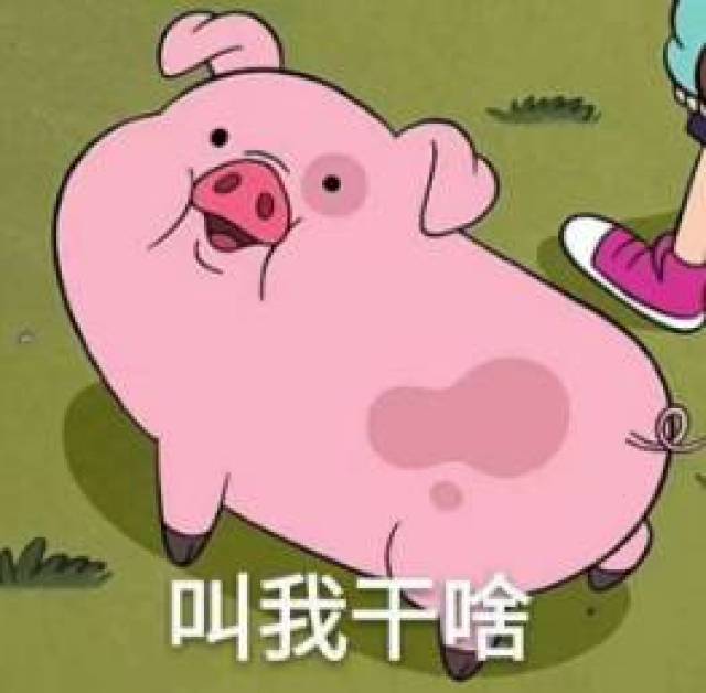 我决定做大创比赛的时候找小学生组队