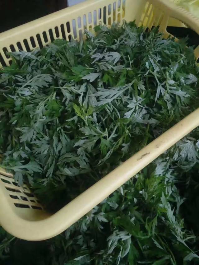 客家阿香妹手工制作艾粄全程,保证你看到口水直流