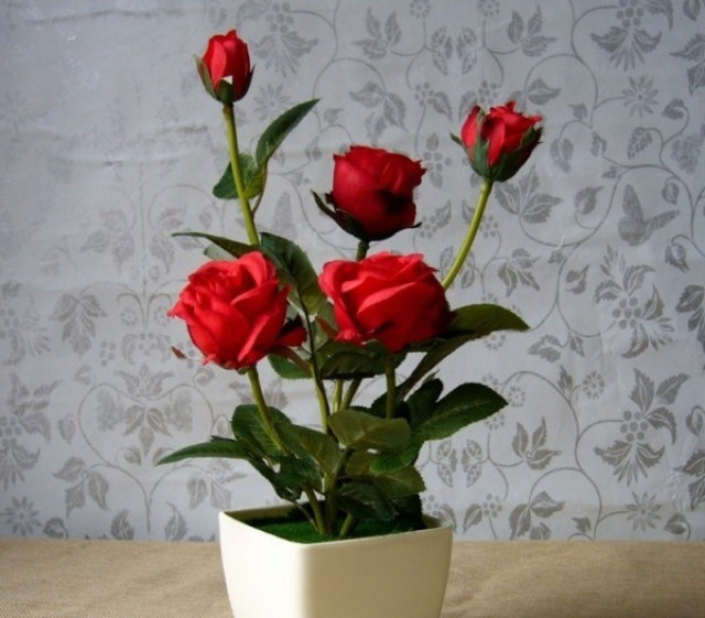 玫瑰花的香味受到很多人的喜爱,种在家中好看也好闻,待花开放的时候