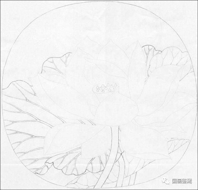 工笔画教程系列之临宋画出水芙蓉图 国画荷花和露珠设色步骤