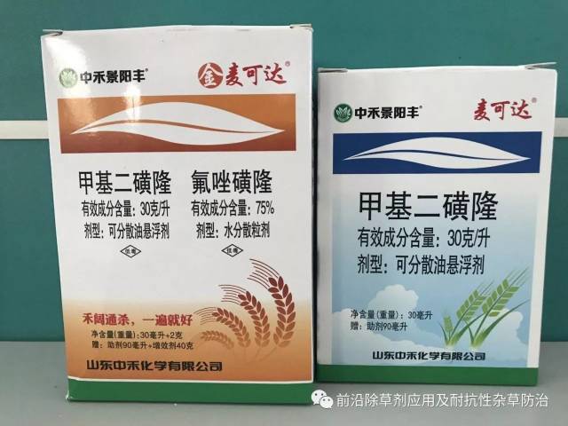 冬小麦什么时候用除草剂最好?常用麦田禾本科除草剂有