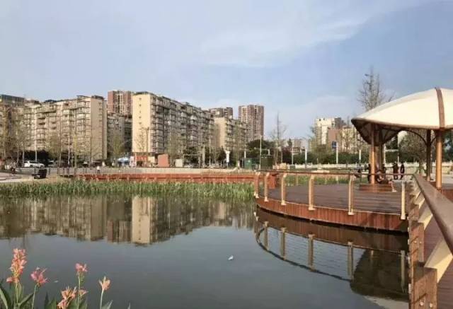 金雁水苑湿地公园正式开放,回顾这五年广汉市民幸福的