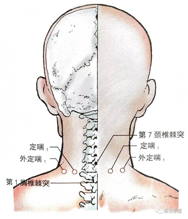 经外奇穴丨外定喘