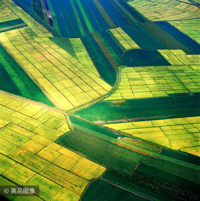 三江平原农田