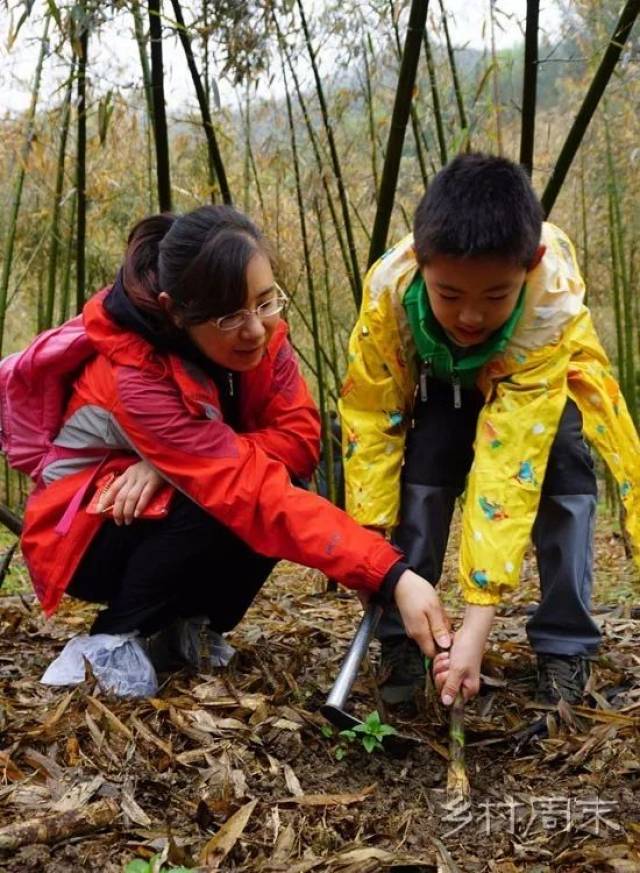 听雨,挖笋,卖苹果……她用大自然为家长和孩子打造了一座没有围墙的