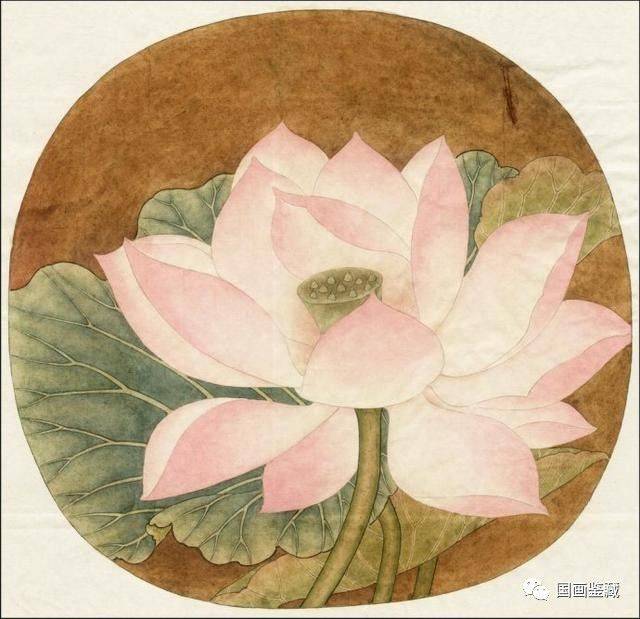 工笔画教程系列之临宋画出水芙蓉图 国画荷花和露珠设色步骤