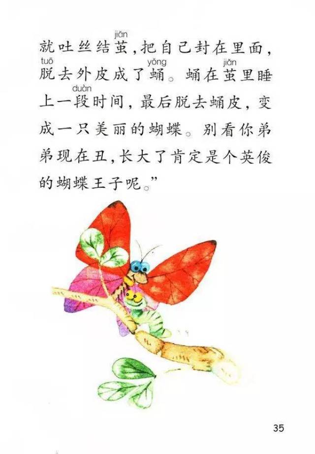 【宝听课文】冀教版小学二年级语文下册第七课《小蝴蝶和毛毛虫》睡前