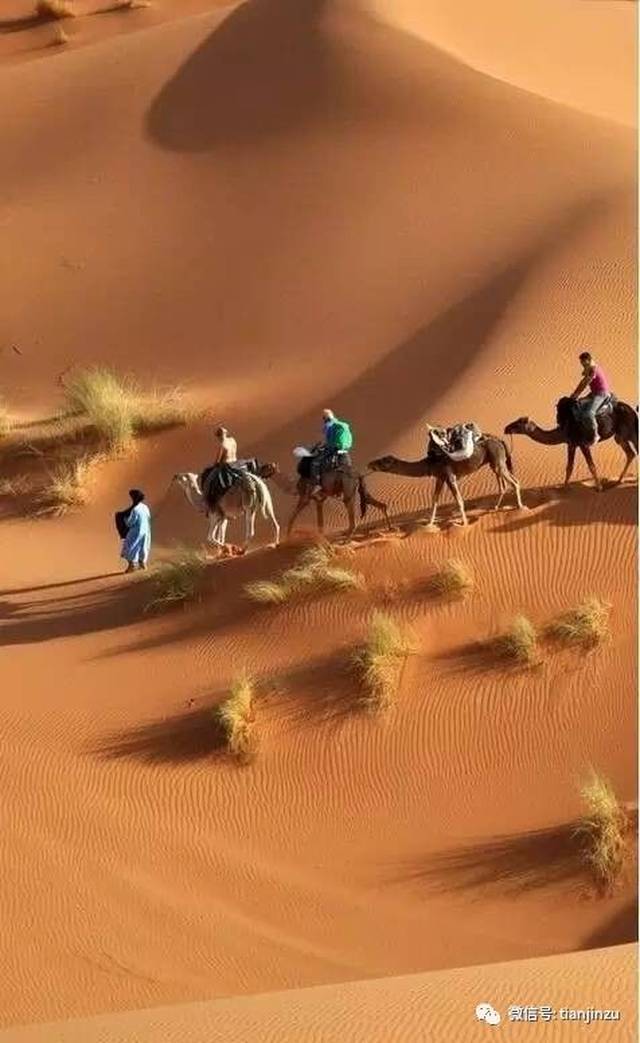 去撒哈拉沙漠骑一骑骆驼,听一听风沙的歌唱