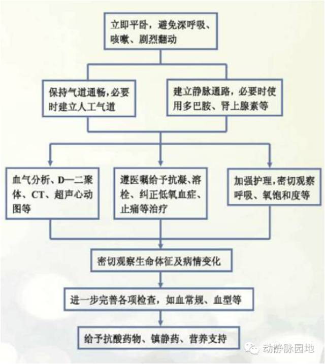(七) 急性肺栓塞的处理流程 深静脉血栓脱落致肺栓塞抢救流程 备注