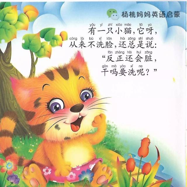 教案:大班健康《不爱干净的小花猫》