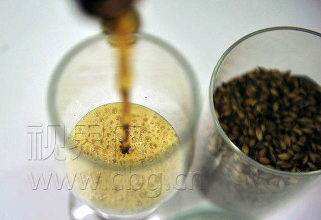 重庆南岸酿出中国最高度数啤酒,家门口就能喝