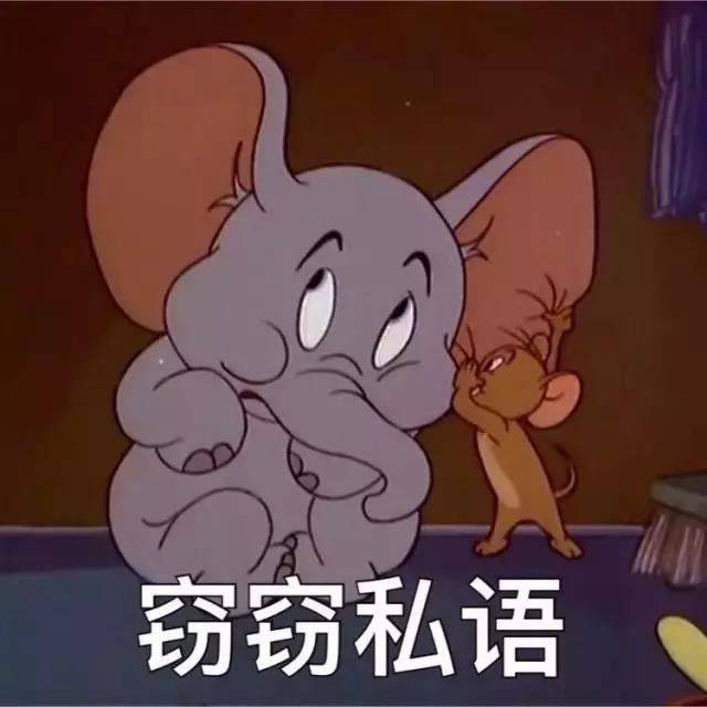 猫和老鼠表情包