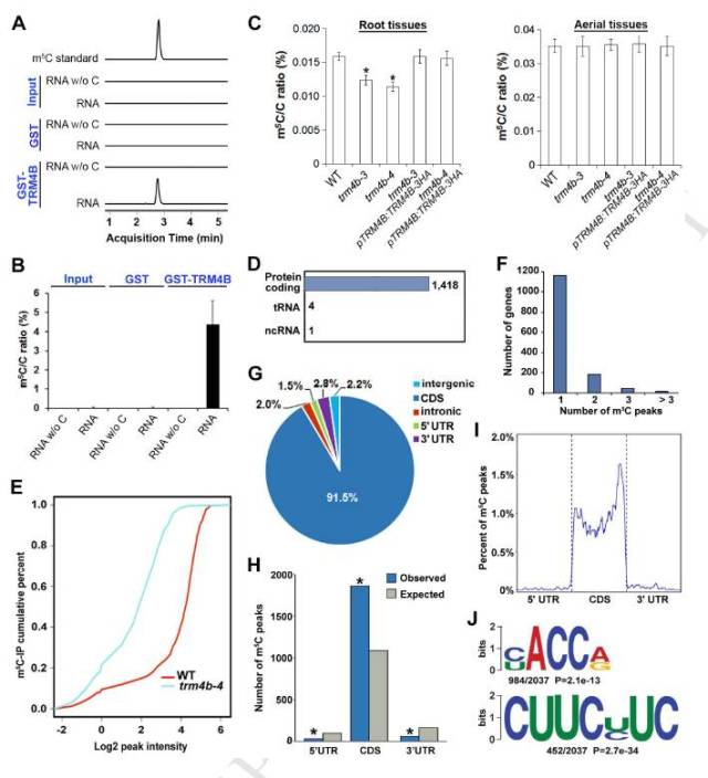 通过结合密度梯度离心,lc-ms/ms和dot blot 分析发现高m5c mrna片段