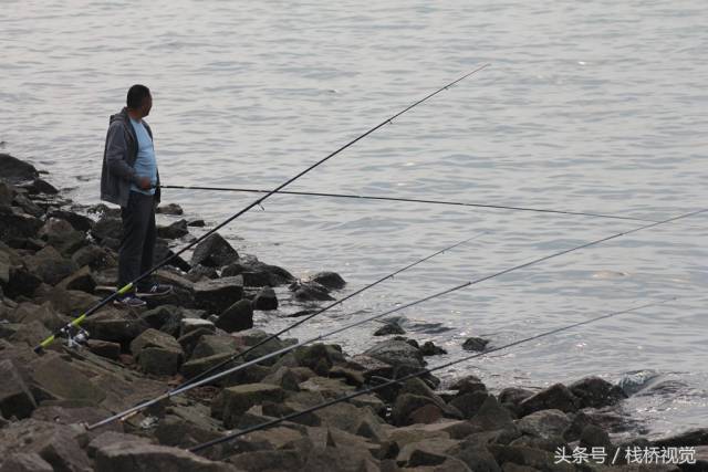 靠海戏海青岛人城会玩!海边钓鱼烧烤带萌娃赶海,遛二哈金毛真恣