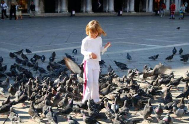 意大利不能喂鸽子?盘点各国10大禁令,早看早知