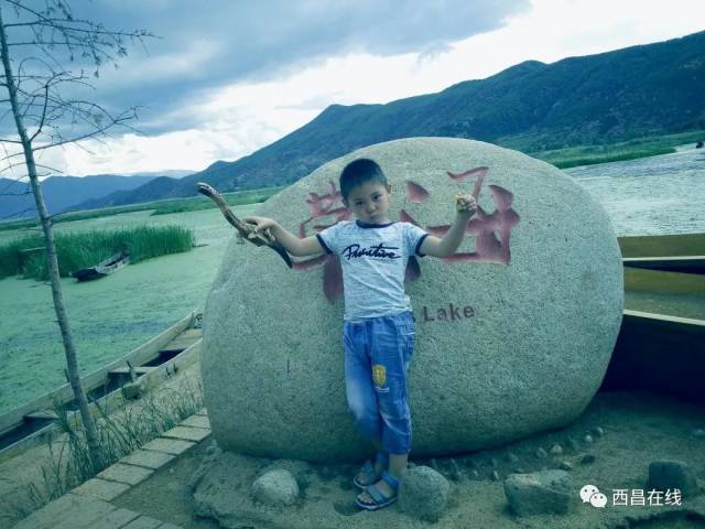 书香西昌小小朗读者,大大演说家网络投票圆满