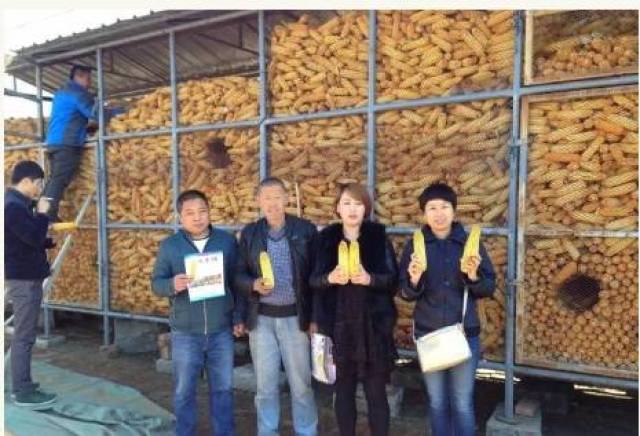 【关注】黑龙江农民自己做玉米楼子,架子,国家给补贴60%!