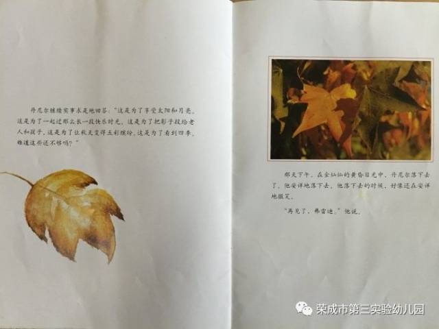 【绘本悦读】一片叶子落下来