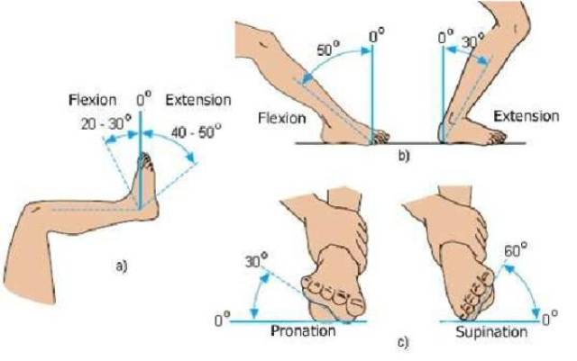 如上图所示,踝关节在每个运动面的动作都有其正常的活动范围,如果超过