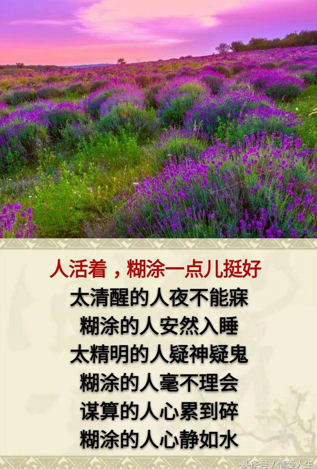 人活着,傻一点,笨一点,糊涂一点.
