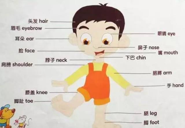 窍门丨小学英语"单词6大分类"大全,助孩子轻松学英语!