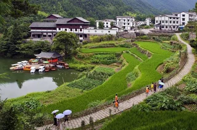 青田县高市乡洞背村