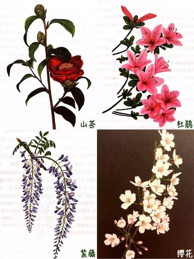 古人种花种什么,花开四季花不落