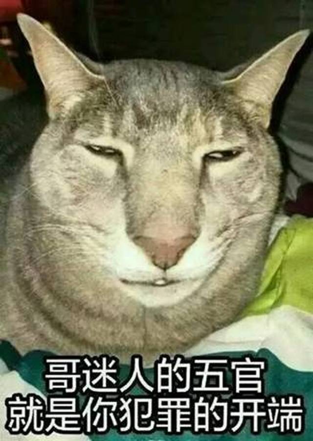 有点像孙红雷 夜华 应勤 张亮?