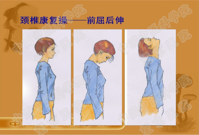 4,颈椎康复操 (1) 前屈后伸:站立位,颈肩放松,颈椎缓缓向上拔伸,缓慢