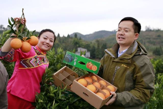 要求,担负起了帮助湘西土家族苗族自治州脱贫致富奔小康的历史重任