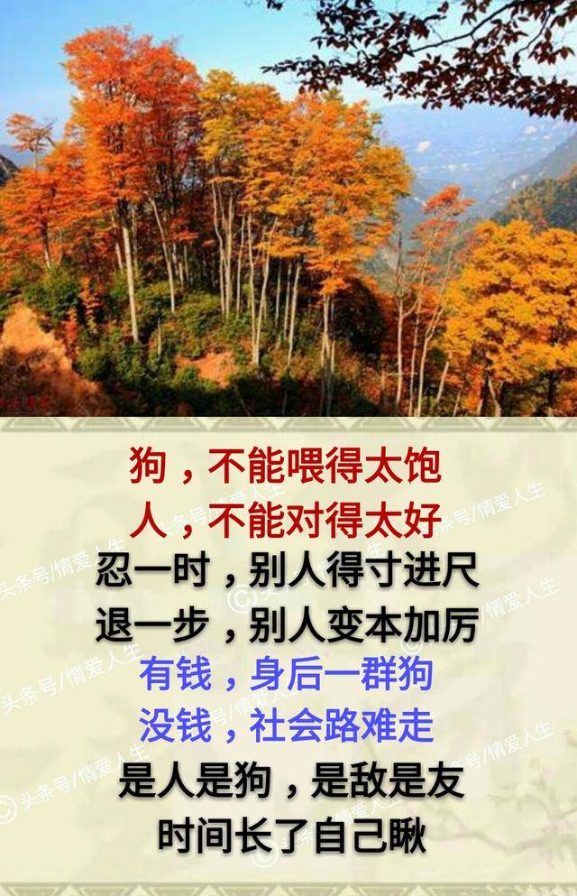 忍一时,别人得寸进尺;退一步,别人变本加厉.