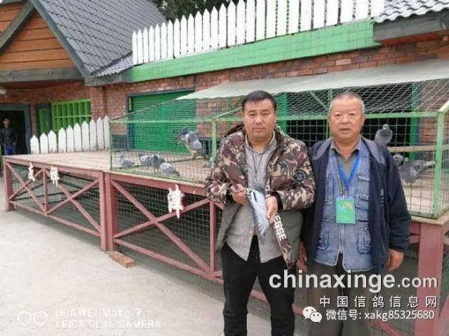 北京百鸽园首关多位名家入围前十名