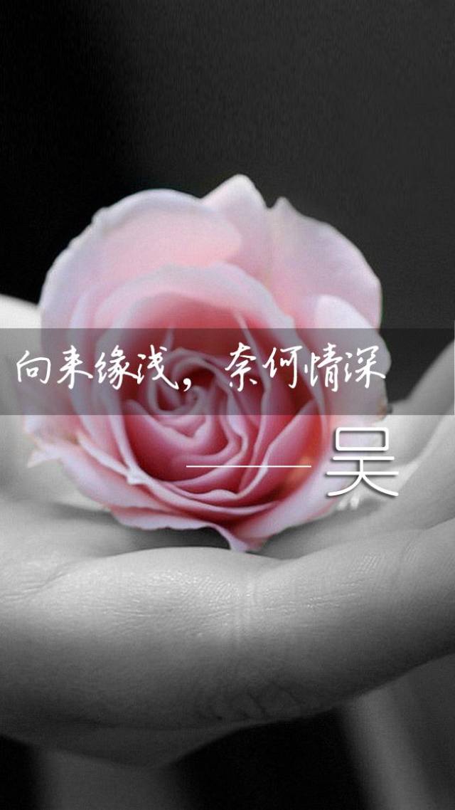 个性手机锁屏屏保,姓氏手机壁纸:向来缘浅,奈何情深!